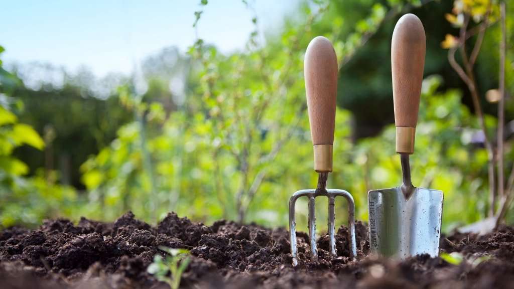 How To Prevent Back Pain When Gardening